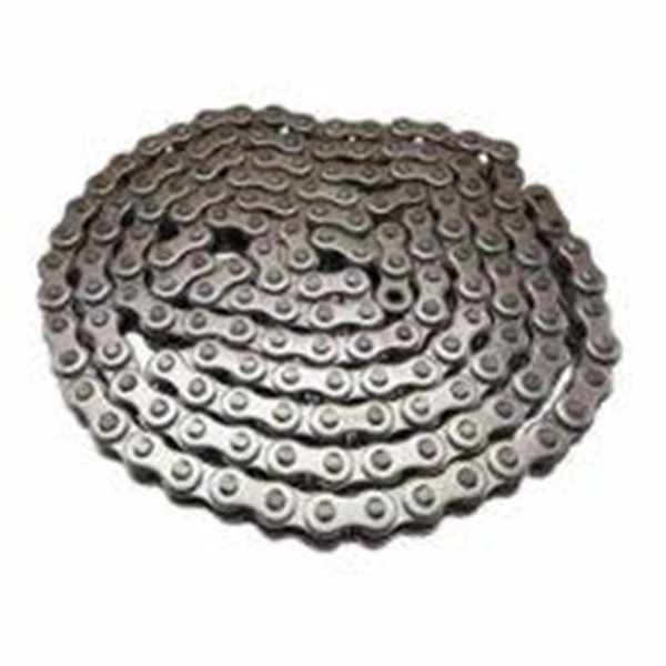 ROLLER CHAIN RS 60-1